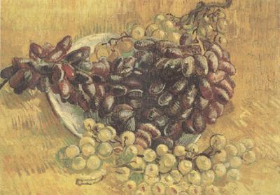 Vincent Van Gogh Still life wtih Grapes (nn04) oil painting image